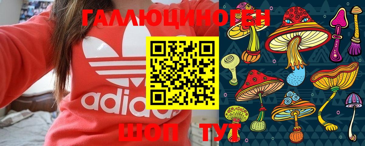 Псилоцибиновые грибы мицелий  Вход с VPN  Волхов  Галлюциногенные грибы Psilocybe 
